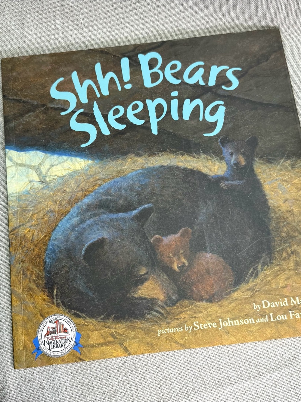 Shh! Bears Sleeping - Illustrated Children's Book